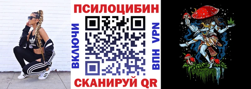 omg маркетплейс  сайты даркнета как зайти  Псилоцибиновые грибы Psilocybe  Шилка 